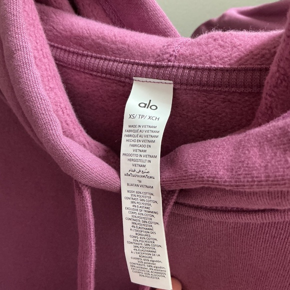 ALO Yoga Accolade Sweatshirt and Straight Leg Sweatpants Set in Soft Mulberry - Picture 6 of 9